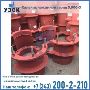 Сальники нажимные серия 5.900-3 в Кемерово